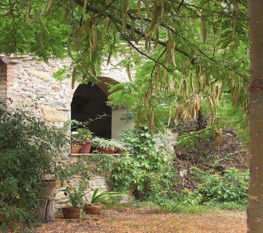 Il Molendino Pisa B&B Calci Exterior photo