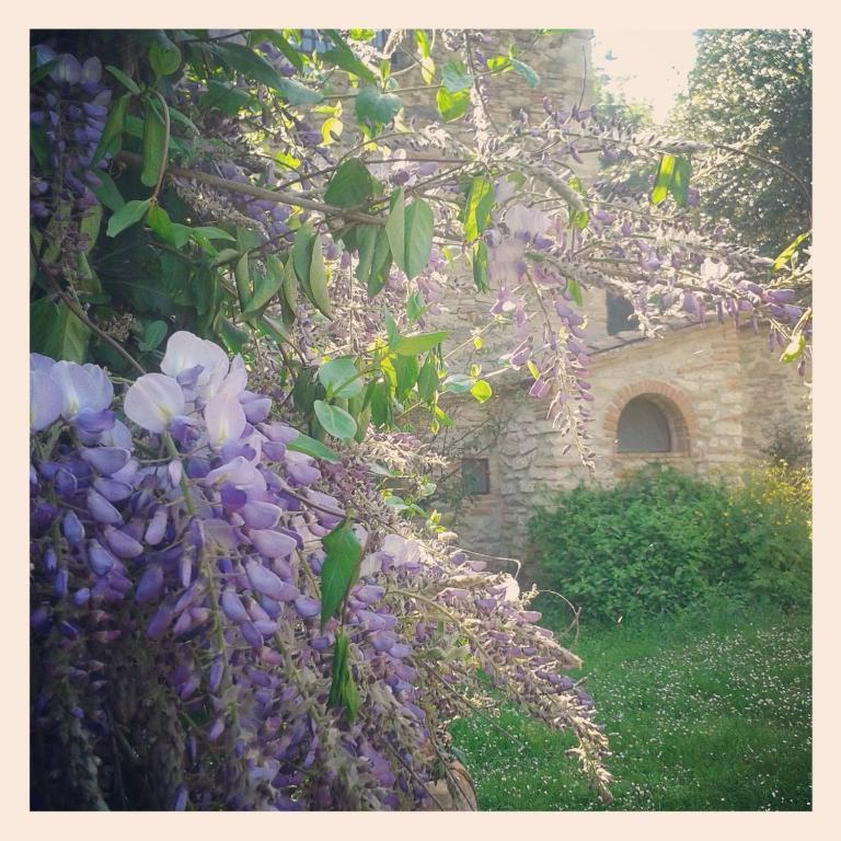 Il Molendino Pisa B&B Calci Exterior photo